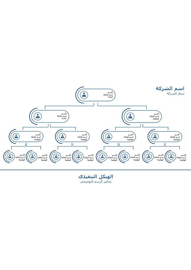 المخطط التنظيمي