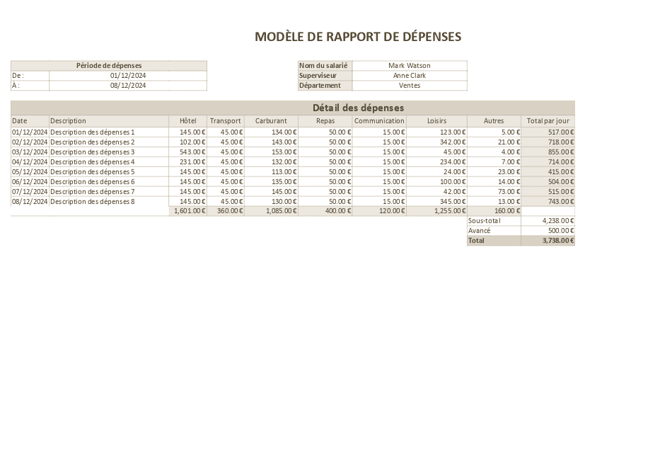 Rapport de dépenses