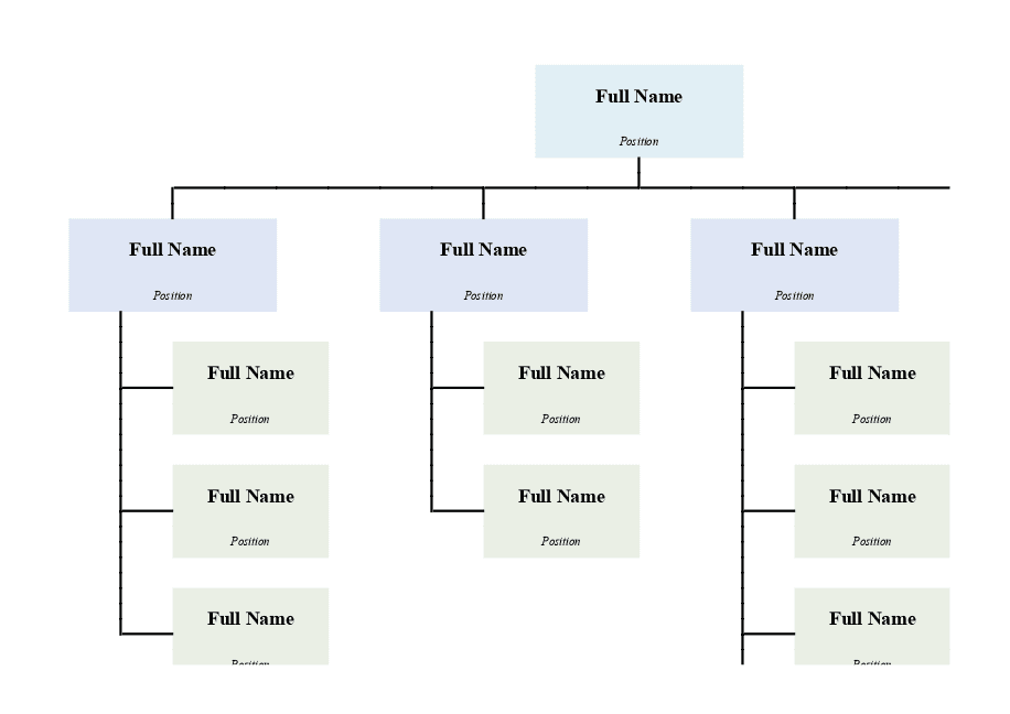 Organizational chart 3
