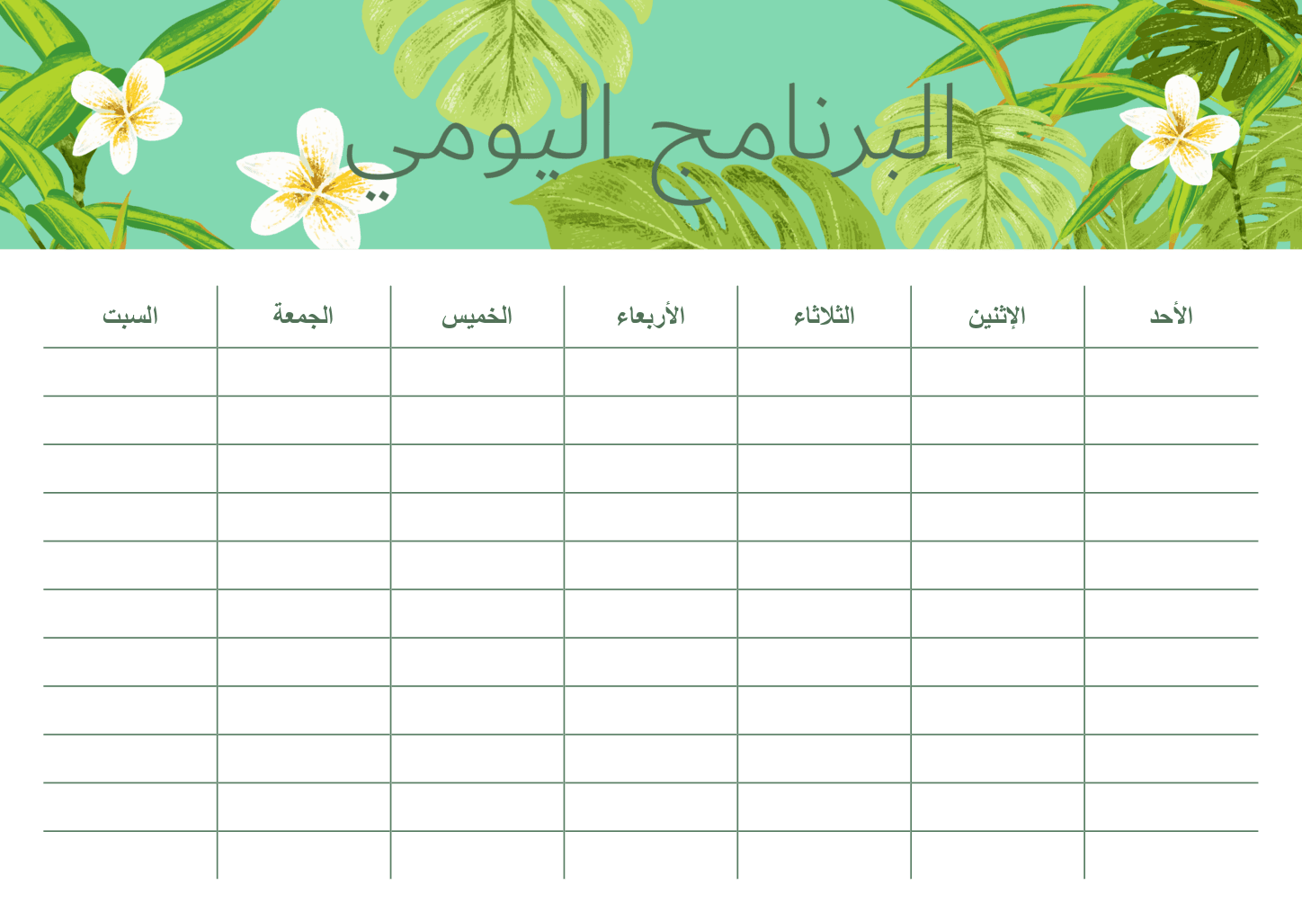 البرنامج اليومي