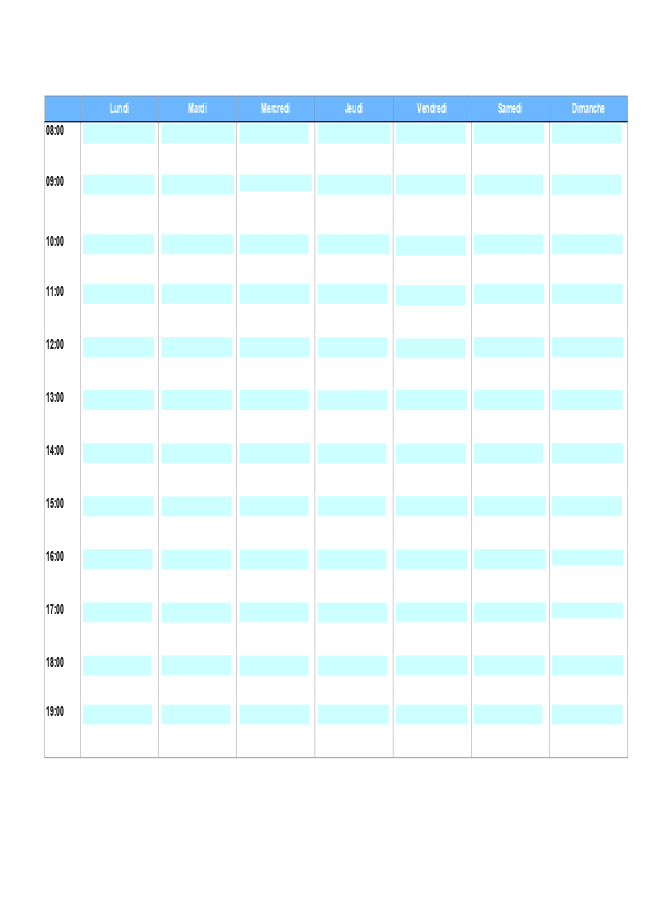 Formulaire emploi de temps