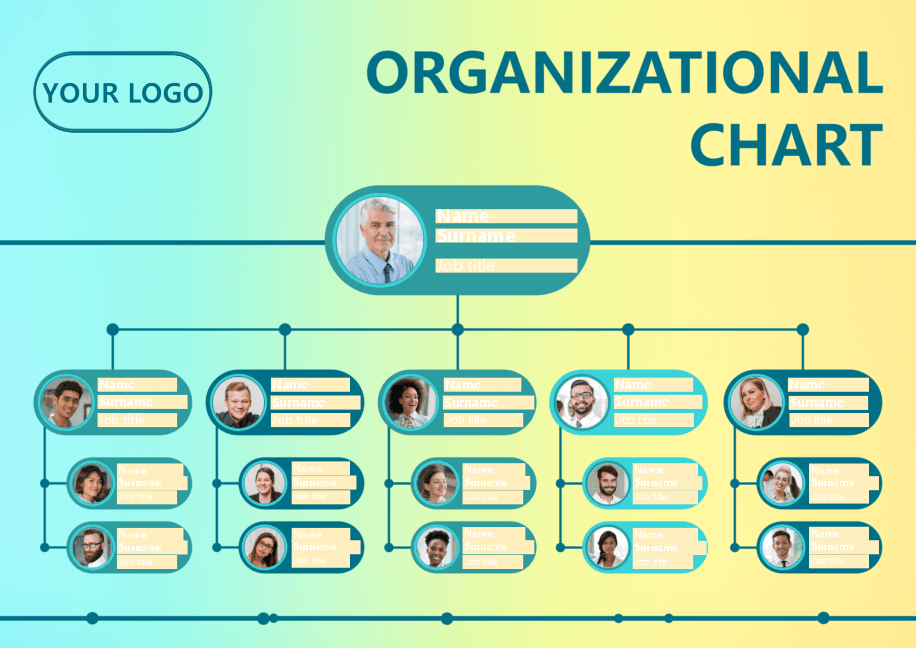Organizational chart 2