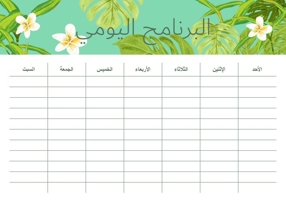البرنامج اليومي