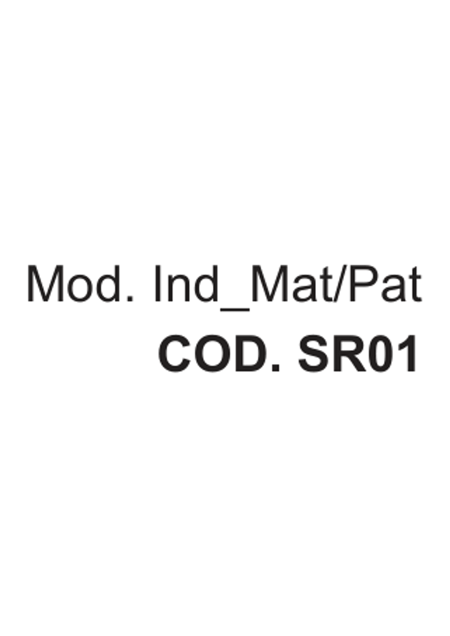 Modulo indennità di maternità / paternità 10