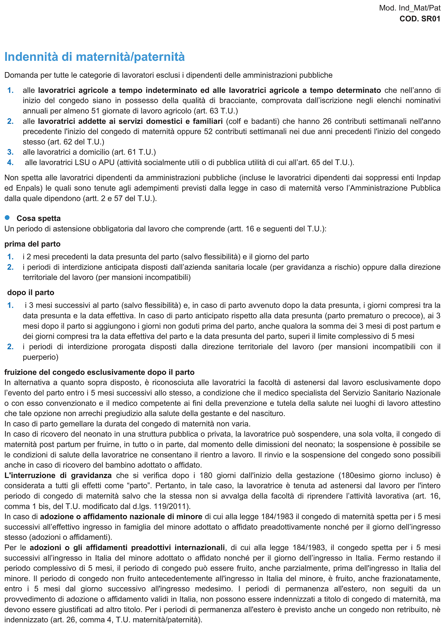 Modulo indennità di maternità / paternità 2