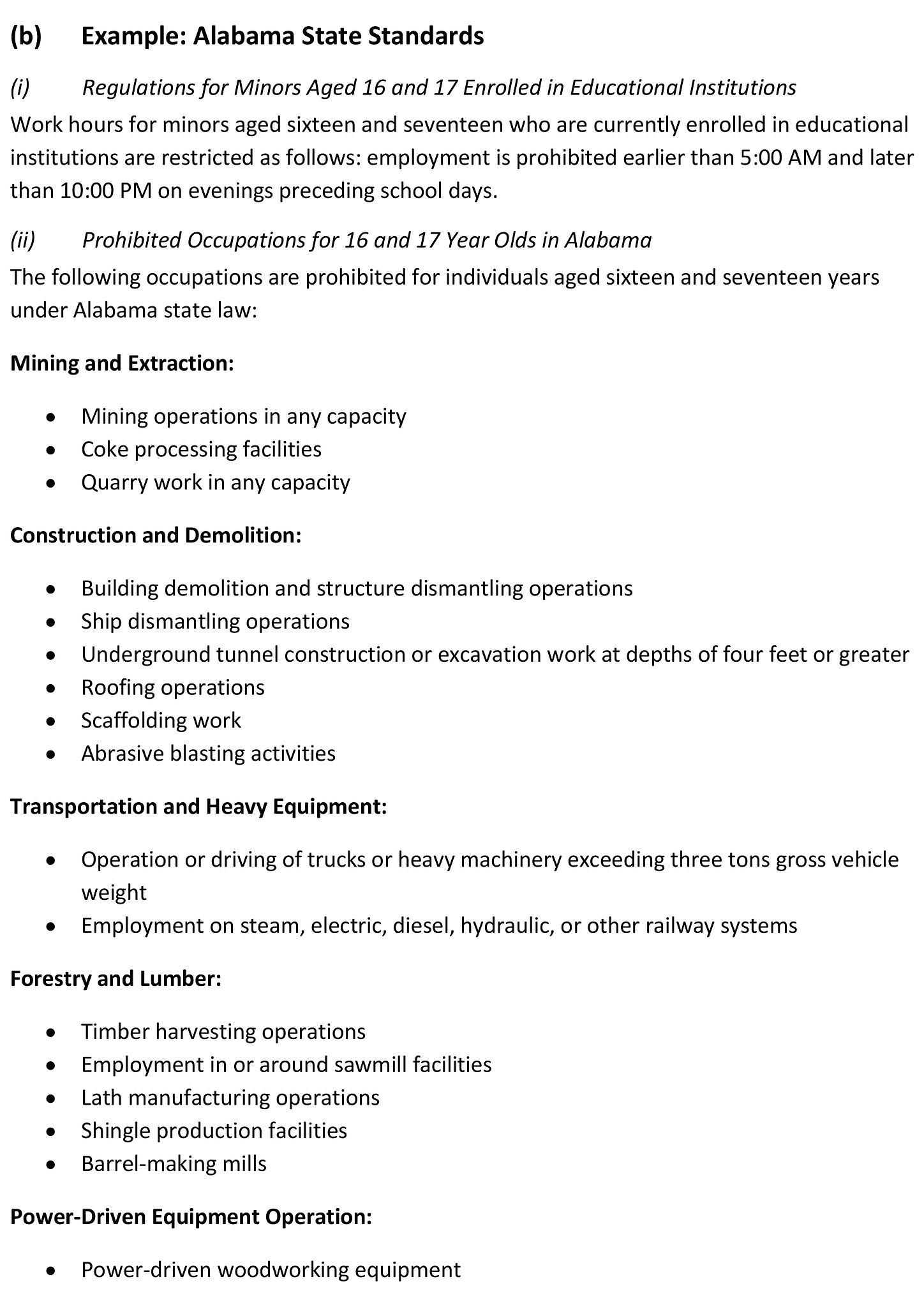 Permission to work form for minors 4